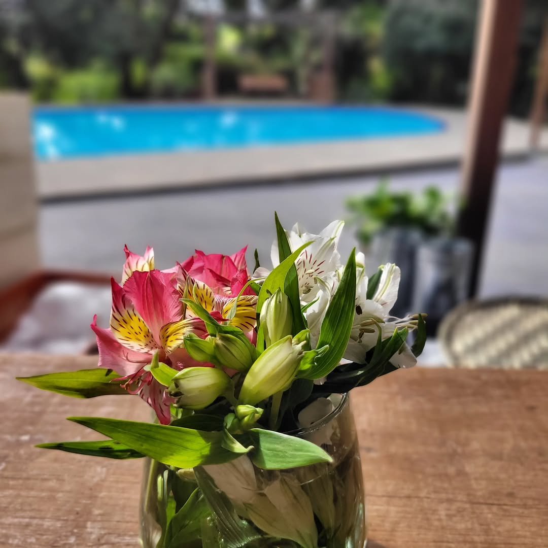 Casa Floresta Evento